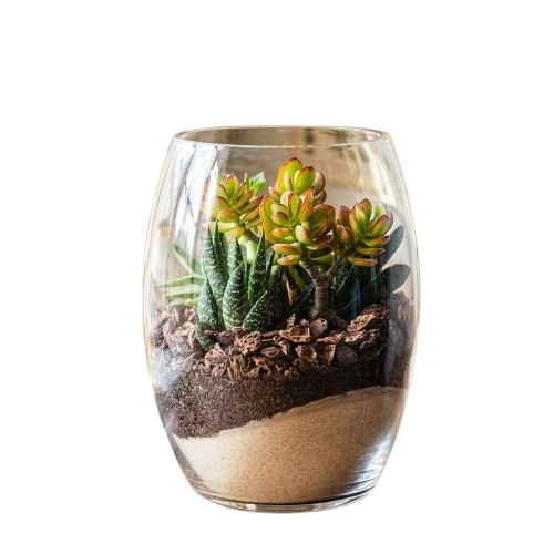 Terrarium